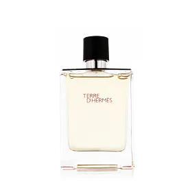 Hermes Terre d´Hermès Woda toaletowa dla mężczyzn 100 ml tester