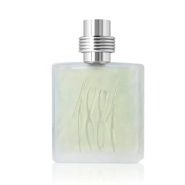 nino cerruti 1881 pour homme