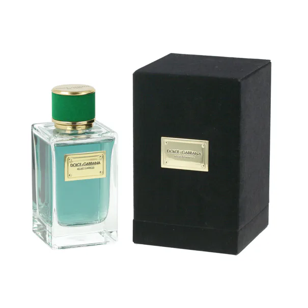 dolce & gabbana velvet cypress