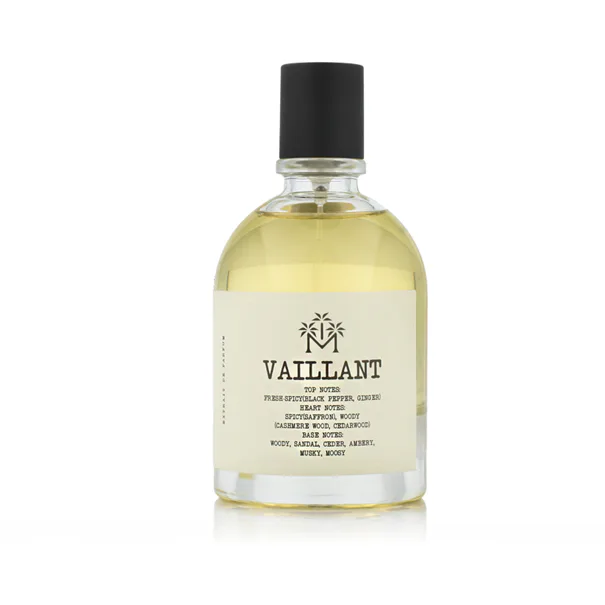 moudon vaillant