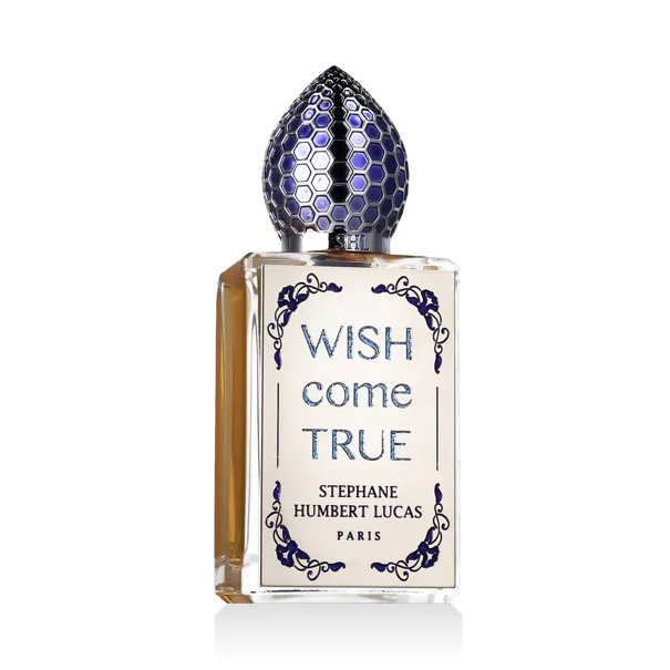 stephane humbert lucas wish come true